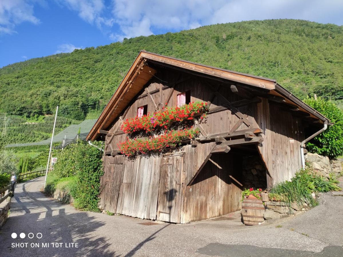 Ruhige Ferienwohnung Mit Garten Und Garage In Privatvilla Марленго Экстерьер фото